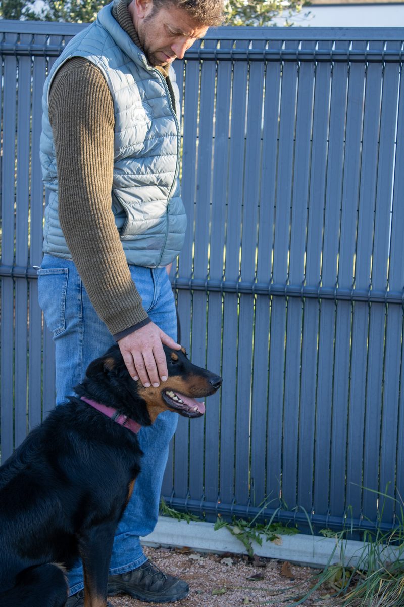 Récompense et renforcement positif lors d'une séance d'éducation canine à Orcet