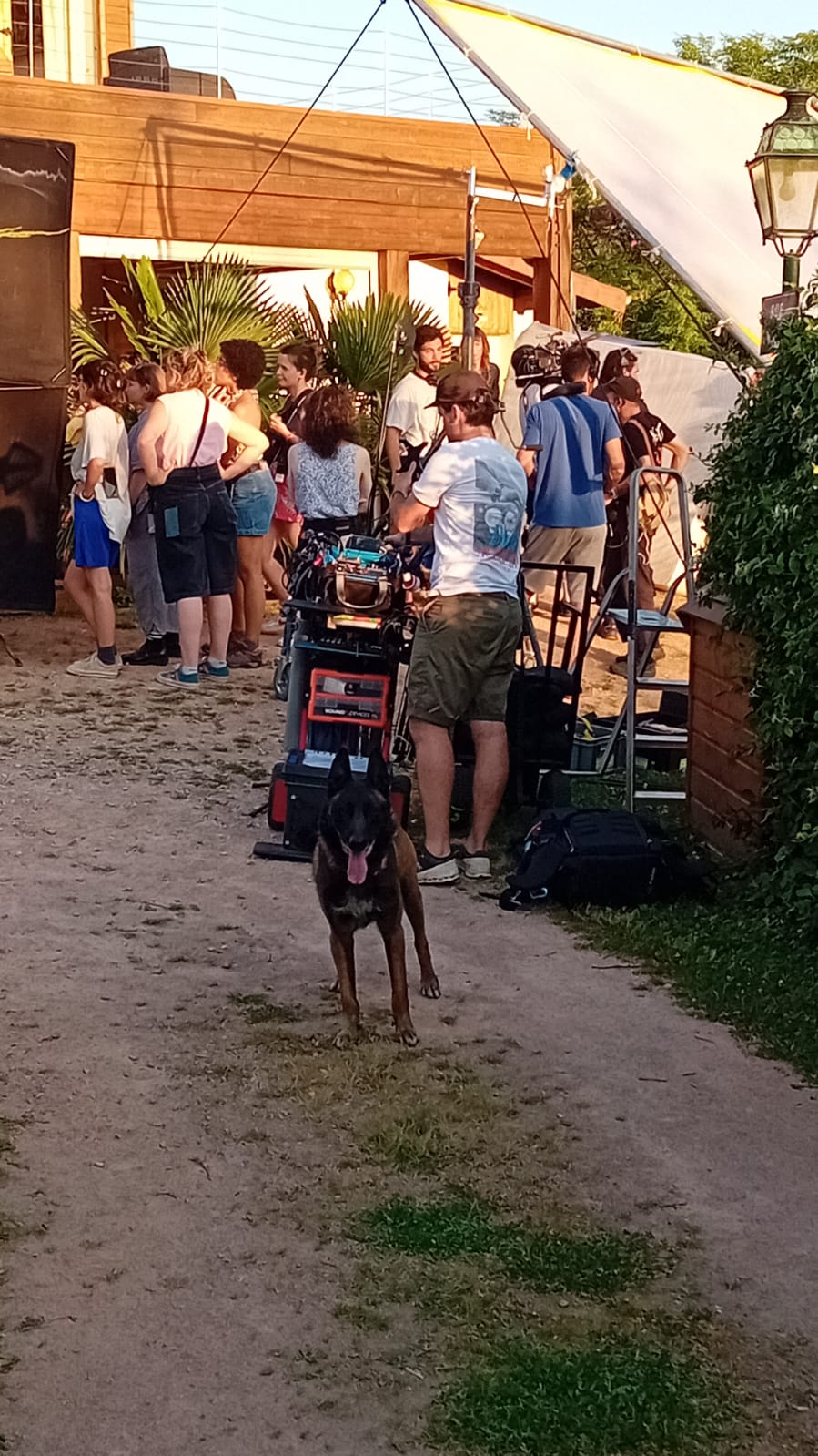 Le Malinois de Frédéric Prulhière sur le plateau du court métrage Accalmie