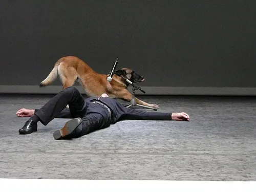 Le chien de Fr&eacute;d&eacute;ric Prulhi&egrave;re sur sc&egrave;ne dans le spectacle Bleib (photo 5)