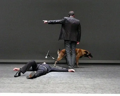 Le chien de Fr&eacute;d&eacute;ric Prulhi&egrave;re sur sc&egrave;ne dans le spectacle Bleib (photo 6)
