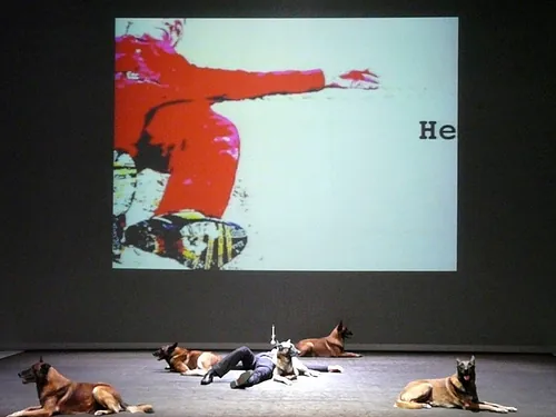 Le chien de Fr&eacute;d&eacute;ric Prulhi&egrave;re sur sc&egrave;ne dans le spectacle Bleib (photo 7)