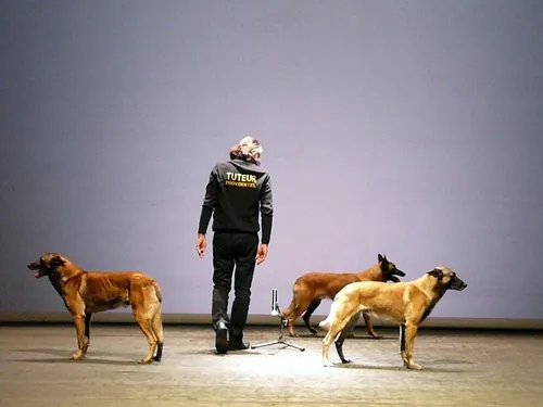 Le chien de Fr&eacute;d&eacute;ric Prulhi&egrave;re sur sc&egrave;ne dans le spectacle Bleib (photo 8)