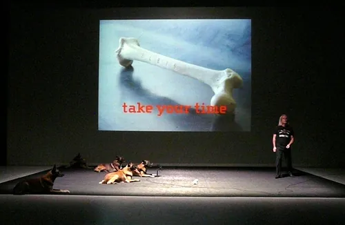 Le chien de Fr&eacute;d&eacute;ric Prulhi&egrave;re sur sc&egrave;ne dans le spectacle Bleib (photo 11)