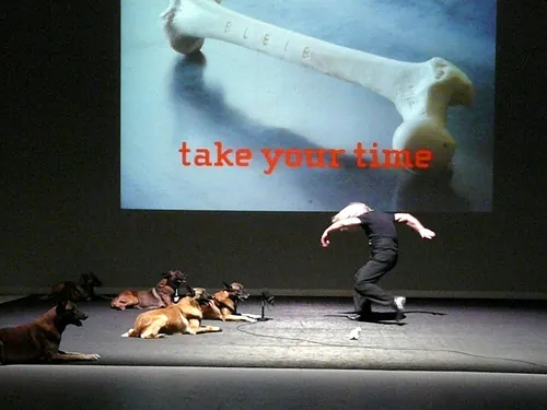 Le chien de Fr&eacute;d&eacute;ric Prulhi&egrave;re sur sc&egrave;ne dans le spectacle Bleib (photo 13)