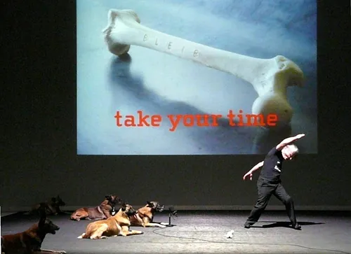 Le chien de Fr&eacute;d&eacute;ric Prulhi&egrave;re sur sc&egrave;ne dans le spectacle Bleib (photo 14)