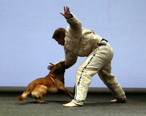Le chien de Fr&eacute;d&eacute;ric Prulhi&egrave;re sur sc&egrave;ne dans le spectacle Bleib (photo 23)