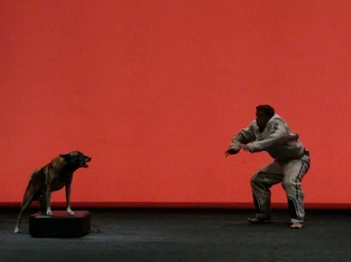 Le chien de Fr&eacute;d&eacute;ric Prulhi&egrave;re sur sc&egrave;ne dans le spectacle Bleib (photo 24)
